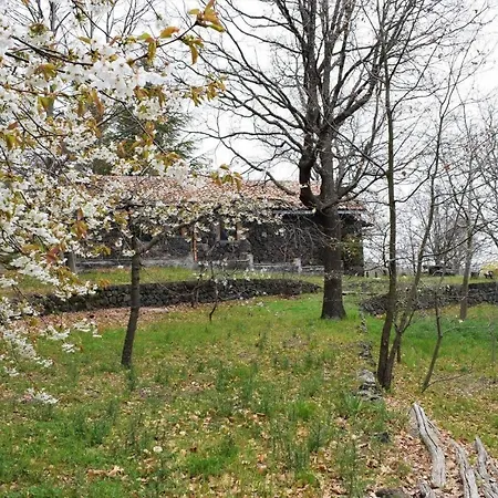 Pietralava *